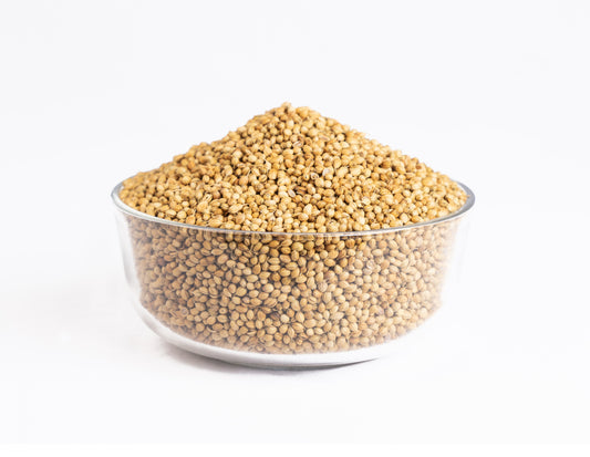 CORIANDER SEED